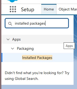 Search for "Installed Packages" in the Setup Quick Find box